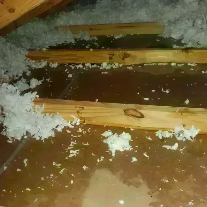 Attic Water Damage in Medicine Lodge, KS